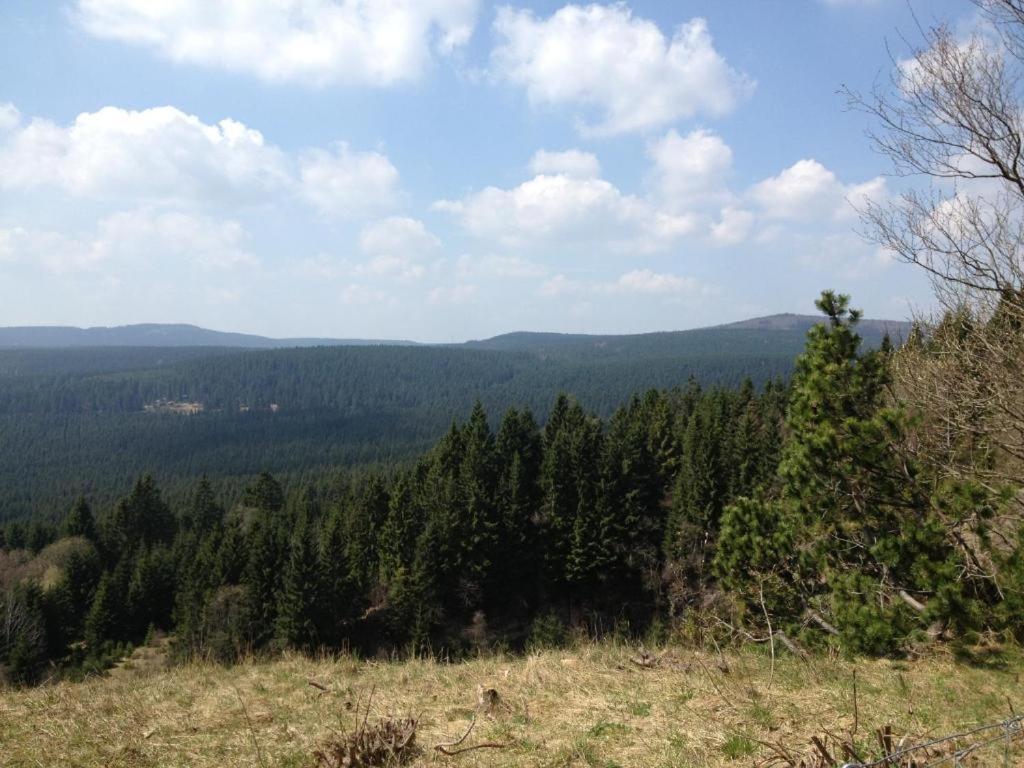 Hostel & Hotel Braunlage Luaran gambar